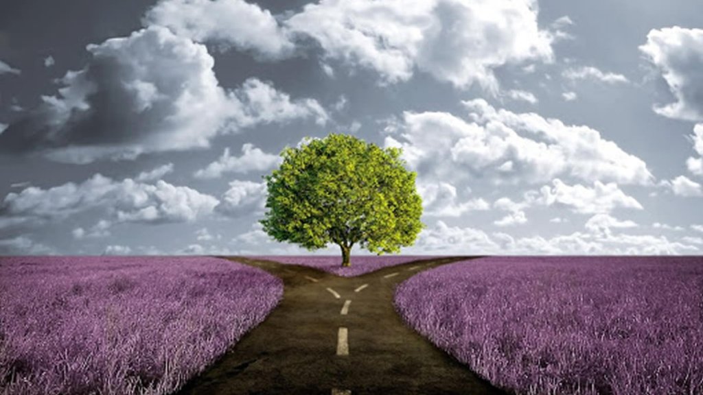 BARBÁRIE MATERIALISTA – DA GANÂNCIA AO&nbsp;COLAPSO